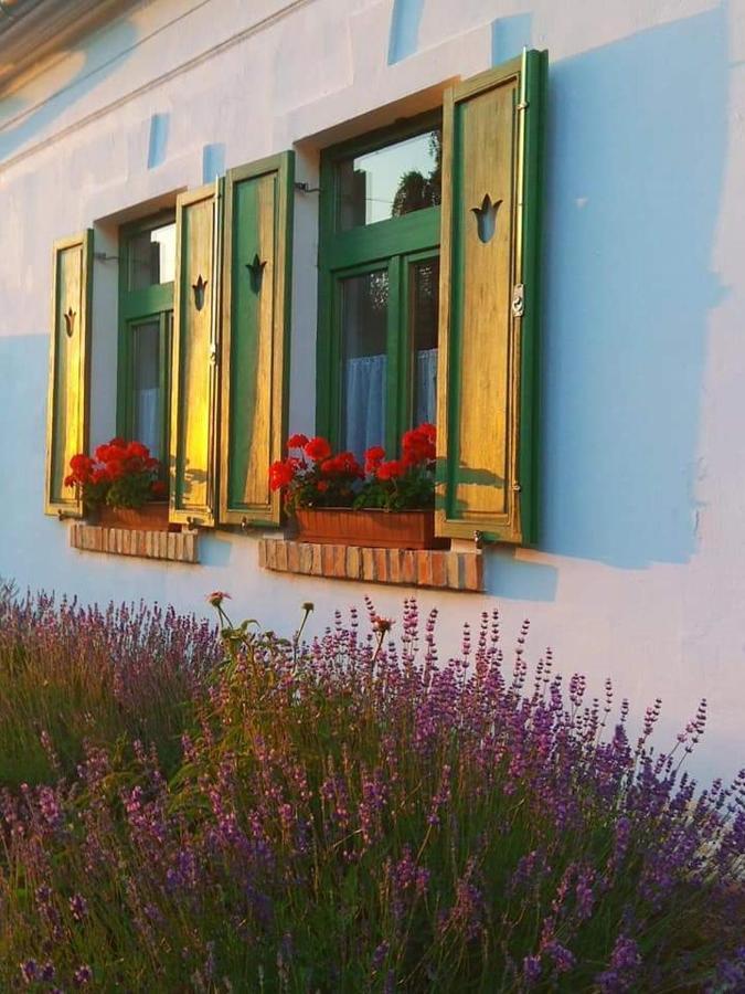 Égkőris Vendégház Bakonyszucs Exterior foto